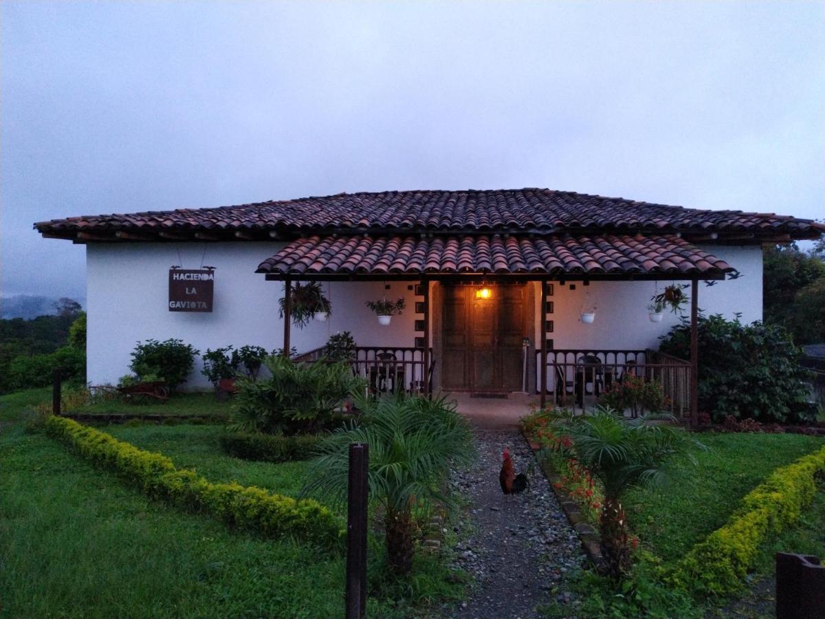 Hacienda Cafetera La Gaviota Vila Chinchiná Exterior foto