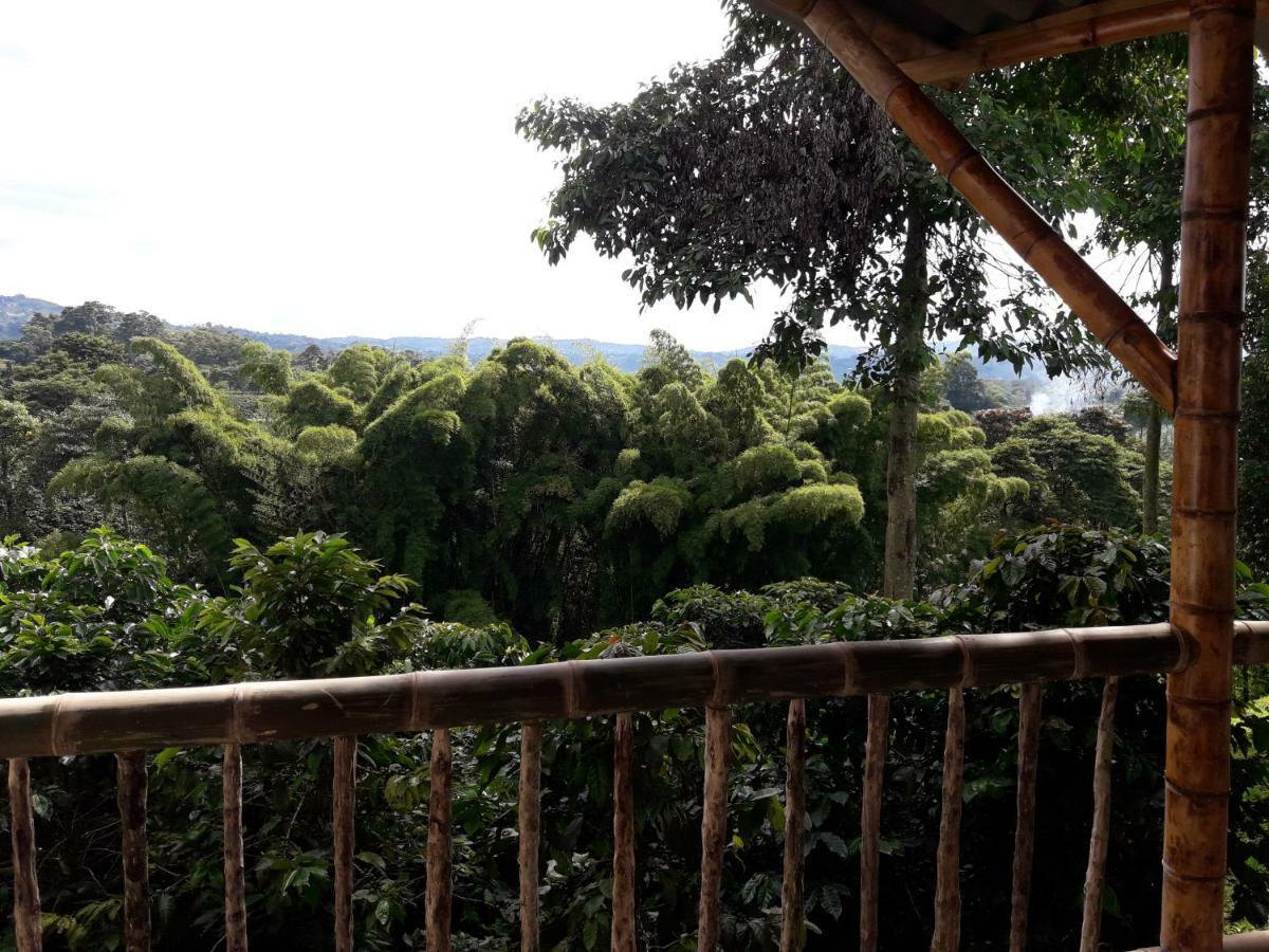 Hacienda Cafetera La Gaviota Vila Chinchiná Exterior foto