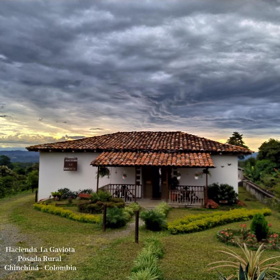Hacienda Cafetera La Gaviota Vila Chinchiná Exterior foto